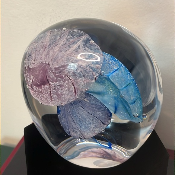 Caithness RARE "Spirits of the Sea" Extra Large 3 Jellyfish Paperweight 3/100 - Picture 1 of 10